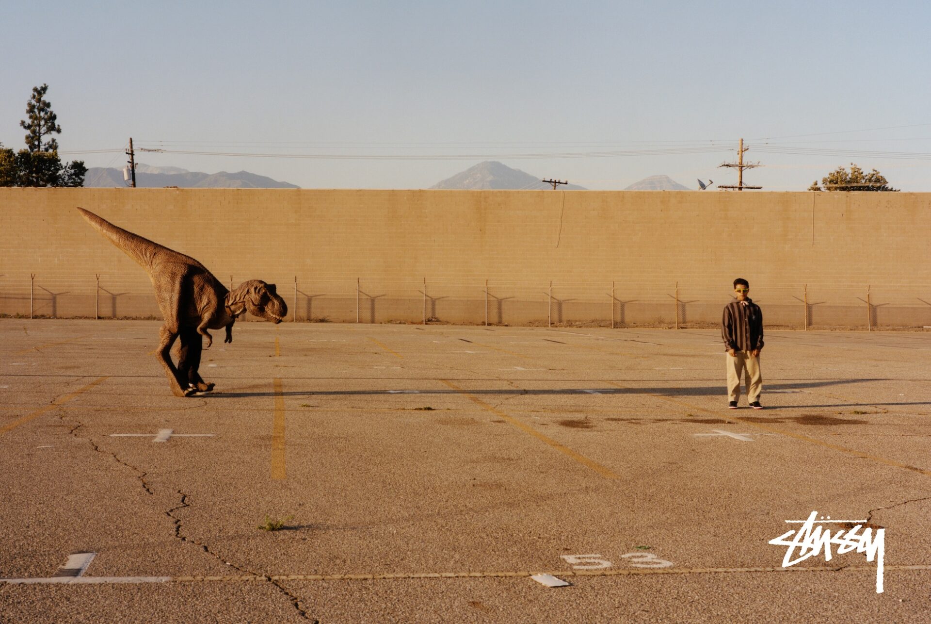 stussy-fa19-campaign-2-