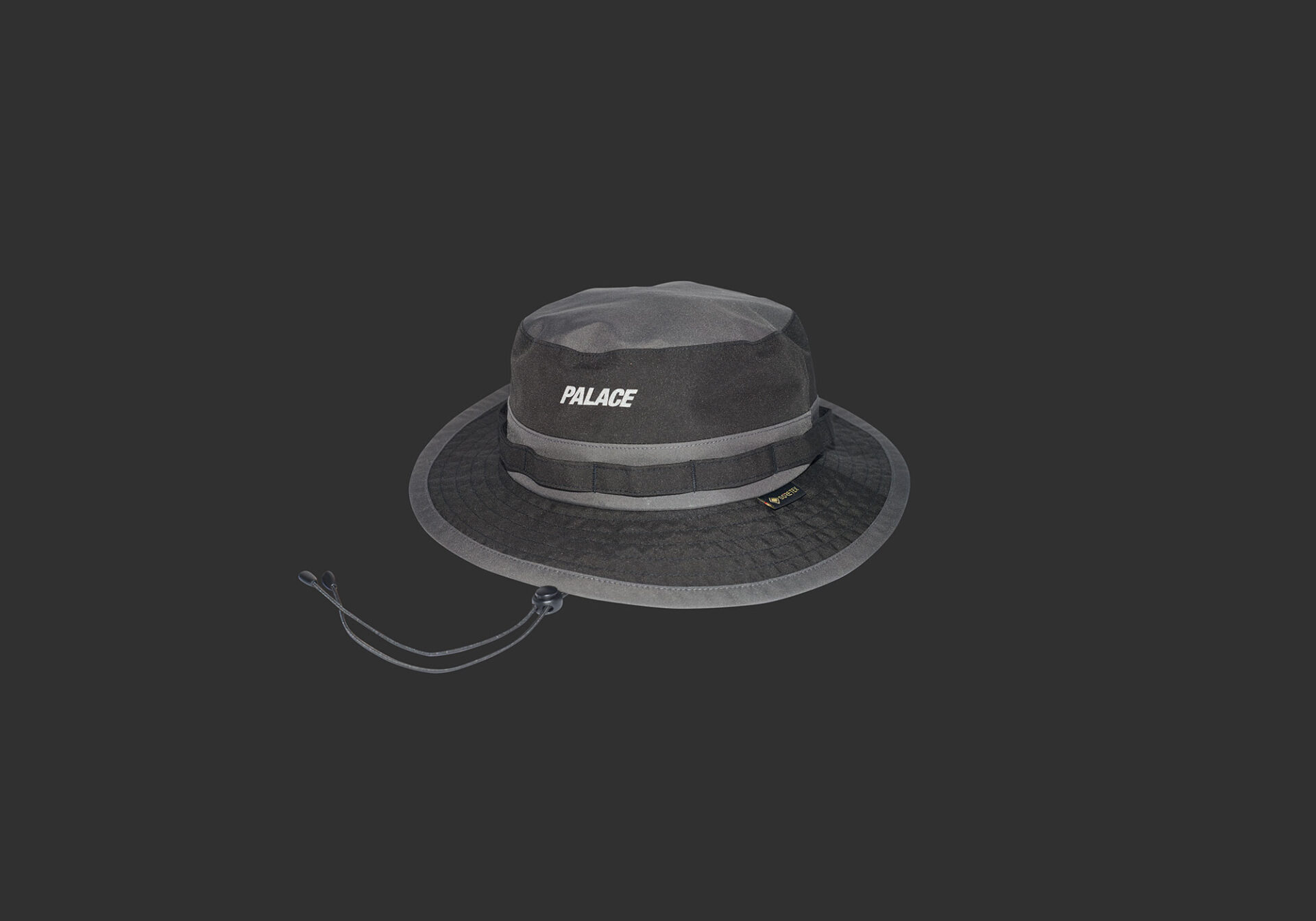 Palace Skateboards パレススケートボードGORE-TEX top.jpg?1576729672