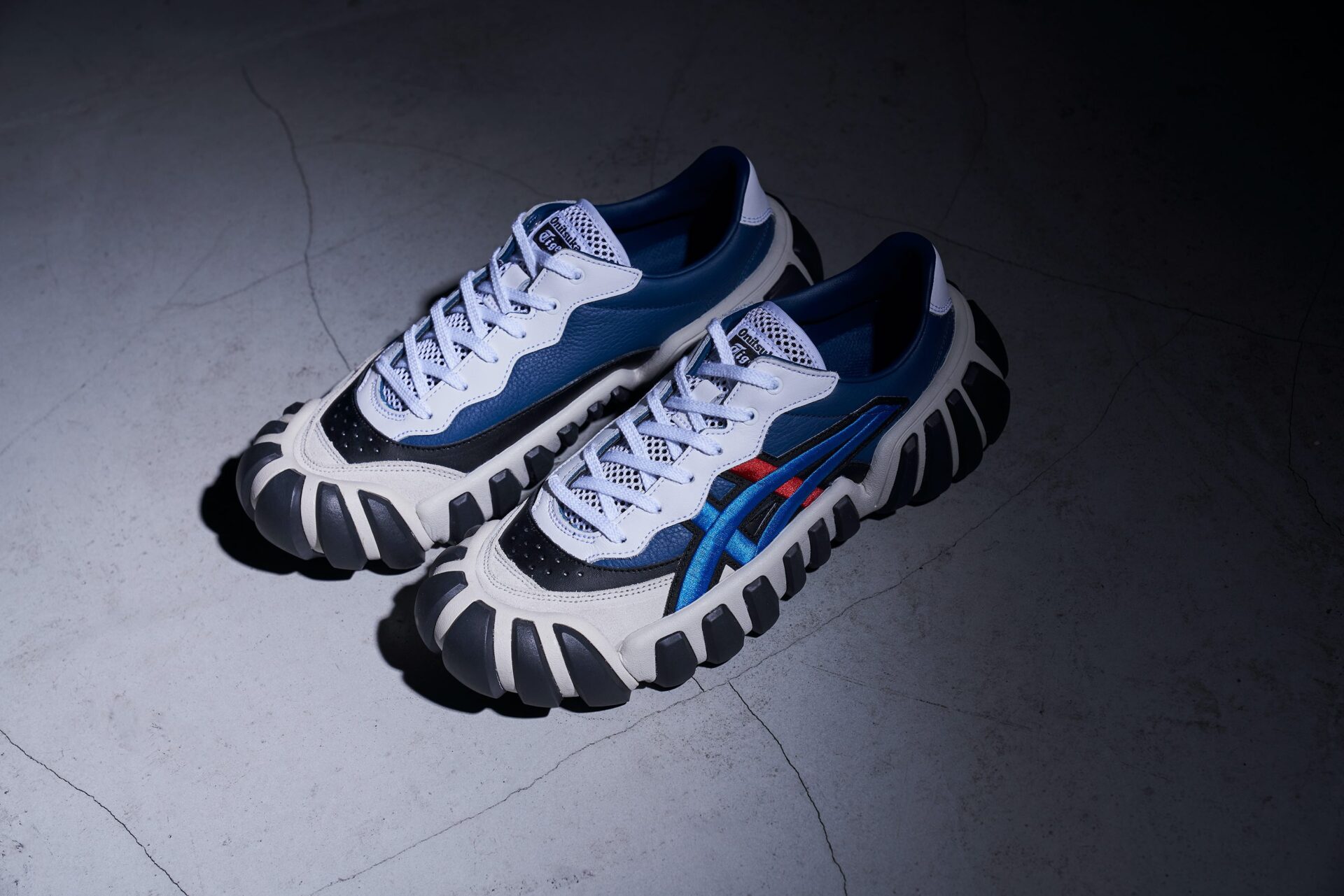 オニツカタイガー　デンティグレ 0423-1920x1281.jpeg