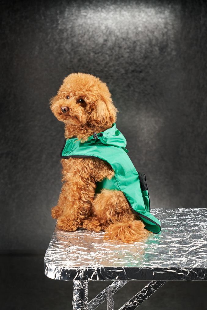 Moncler Genius Poldo Dog Couture トリコロール-