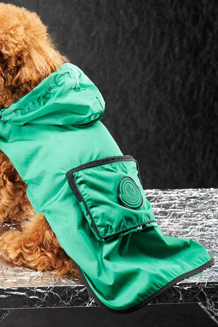 絶品 Moncler Moncler Poldo イエロー ベスト 犬用 Dog 犬用品 Www Indiashopps Com