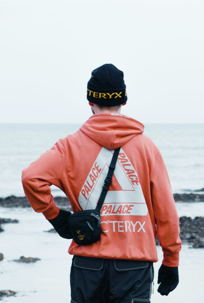 PALACE × ARC'TERYX パレス アークテリクス-