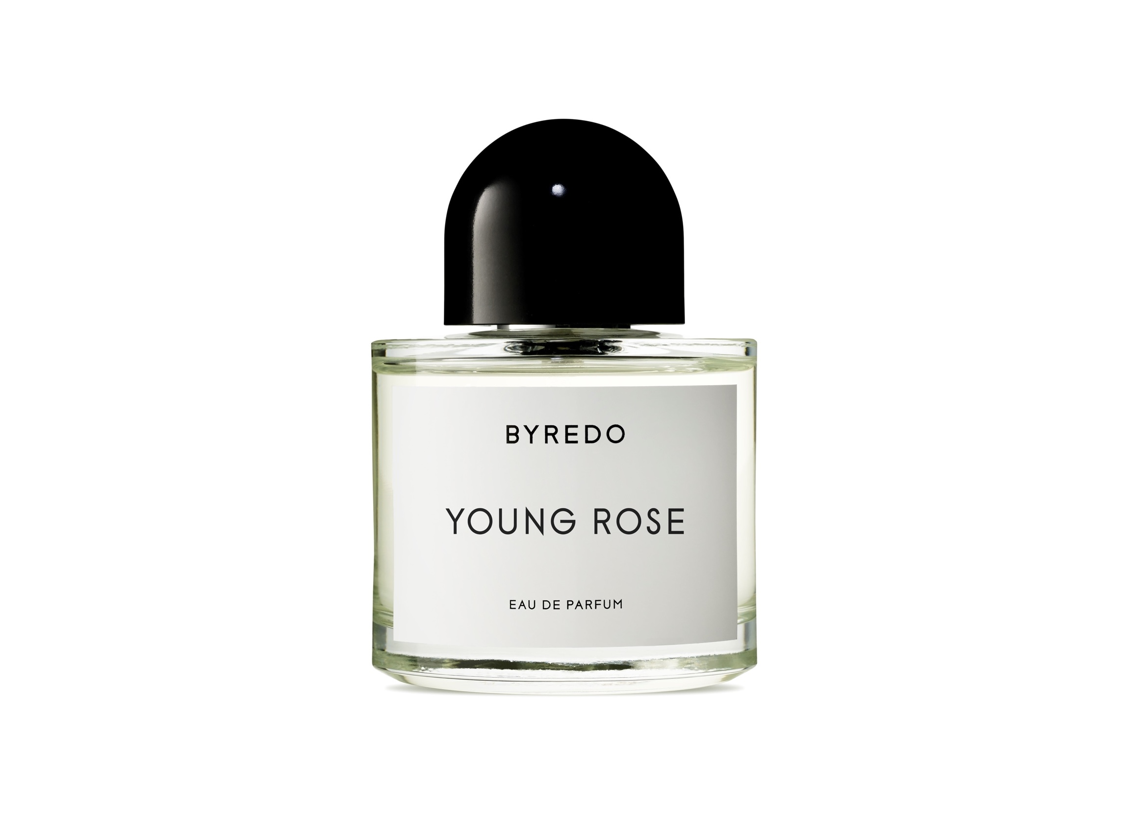 BYREDO 若者へ向けた新作オードパルファン「Young Rose」発売