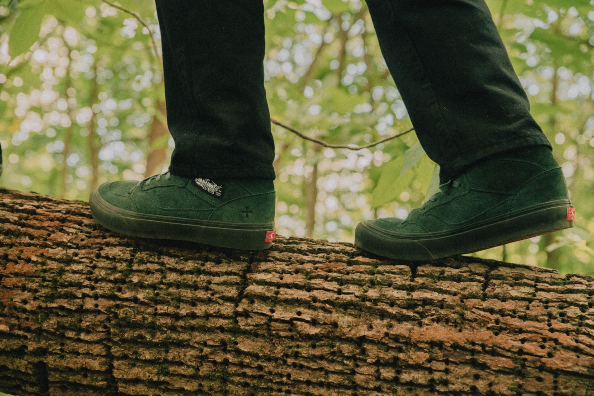 VANSのアーカイブに焦点 NOAHからコラボモデル発売