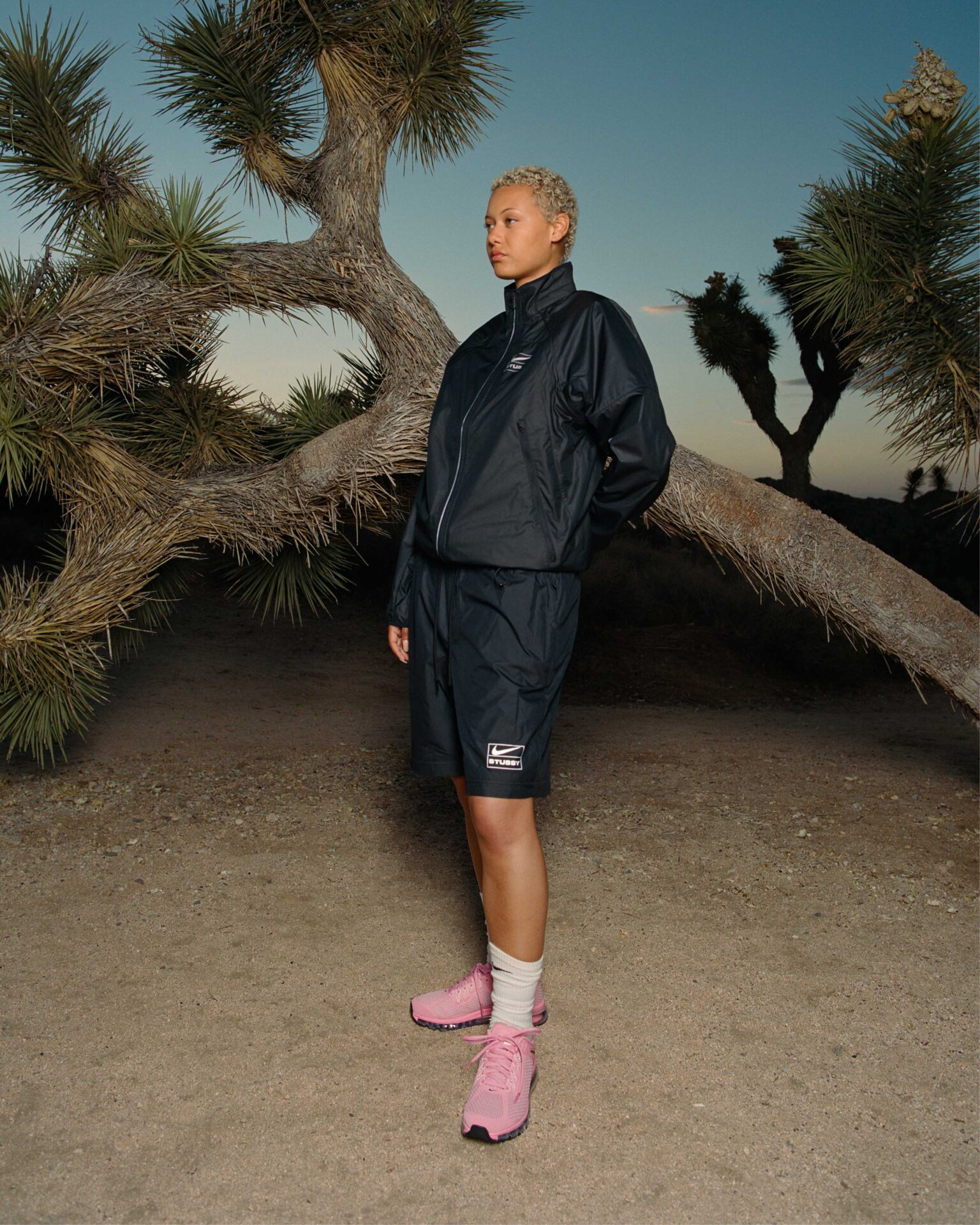 【新品　未使用】ペトロマックス　Petromax ステューシー STUSSY 新品 未使用】ペトロマックス Petromax ステューシー STUSSY