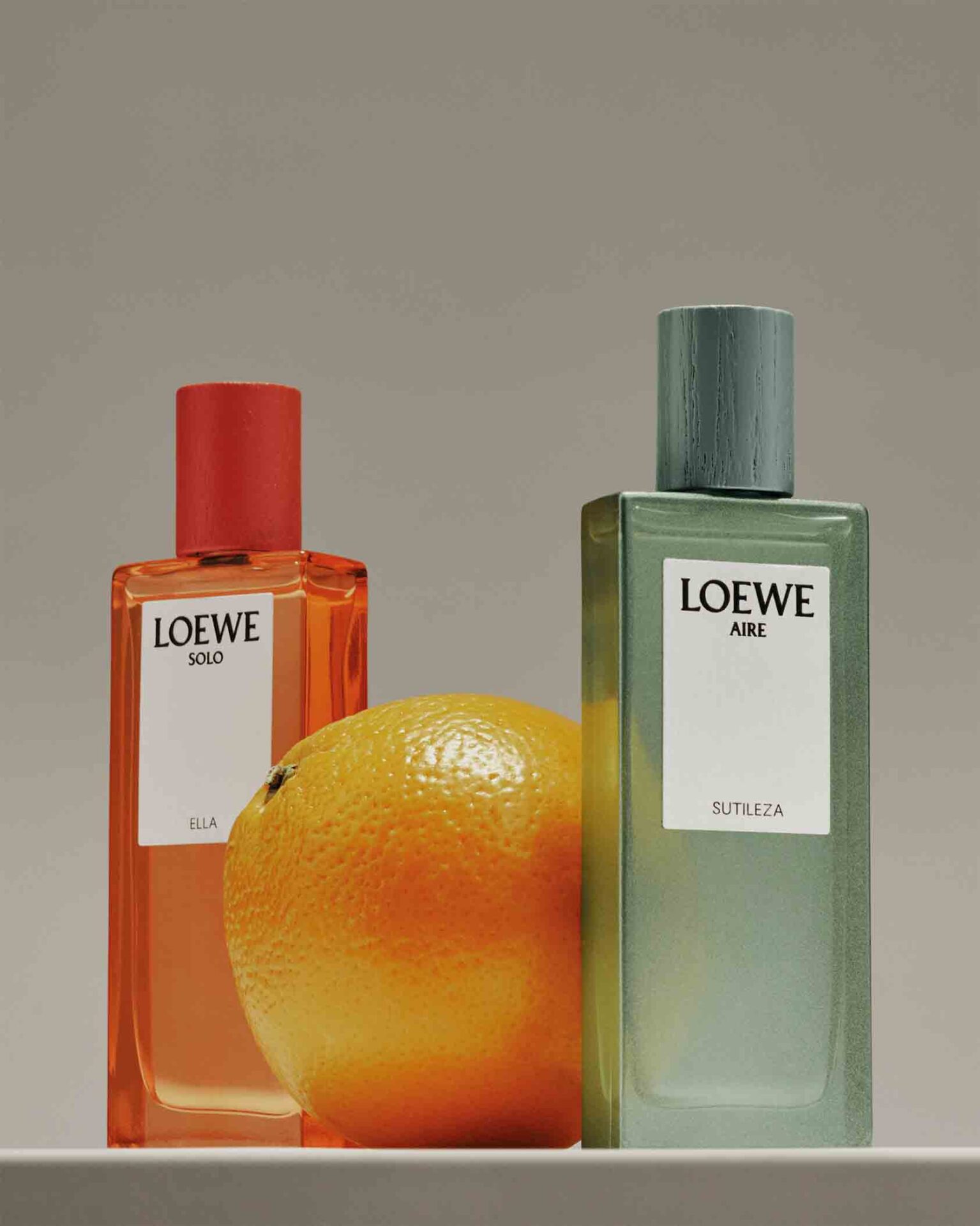 LOEWE、ボタニカルレインボーから新作フレグランス発売