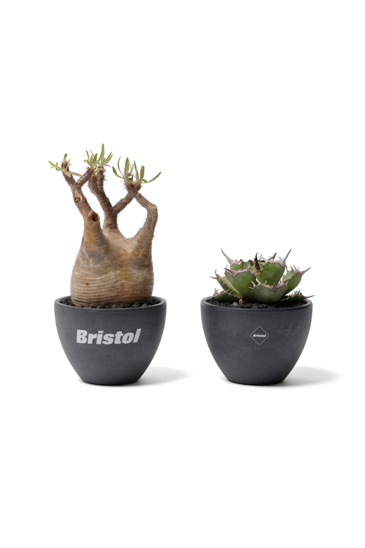 F.C.R.B. 、RAFLUMとのコラボエコポット発売。ポップアップも