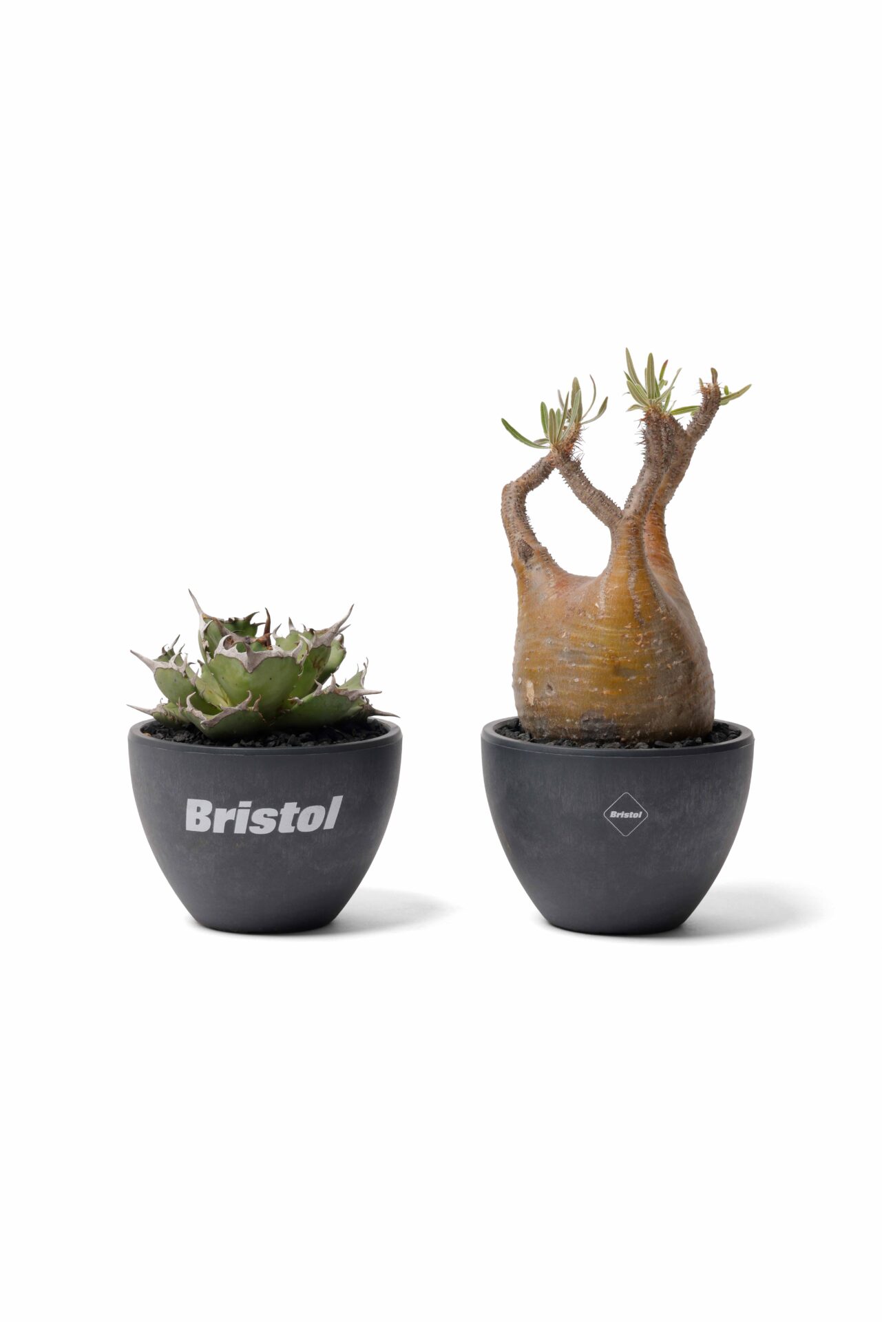 F.C.R.B. 、RAFLUMとのコラボエコポット発売。ポップアップも