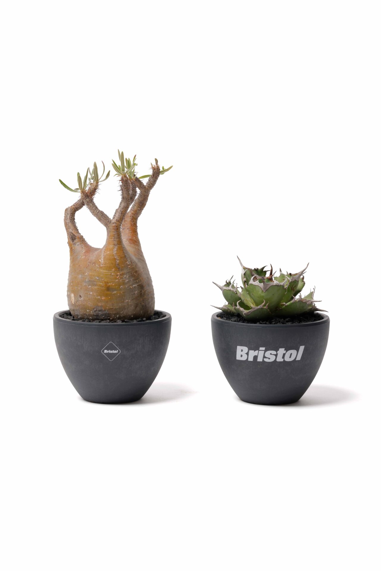 FCRB×RAFLUM プラ鉢　植木鉢セット F.C.R.B. 、RAFLUMとのコラボエコポット発売。ポップアップも
