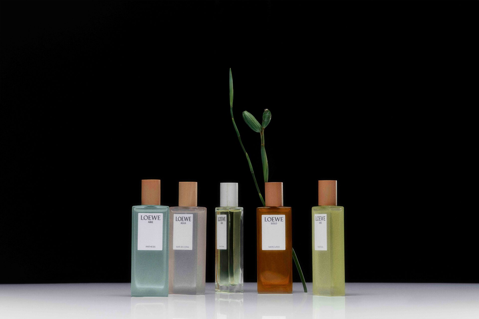 LOEWE、ブランド独自の調和を採用した新フレグランス登場