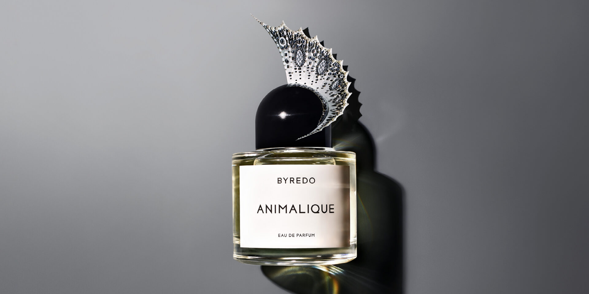 2X1_ANIMALIQUE_LAUNCH-