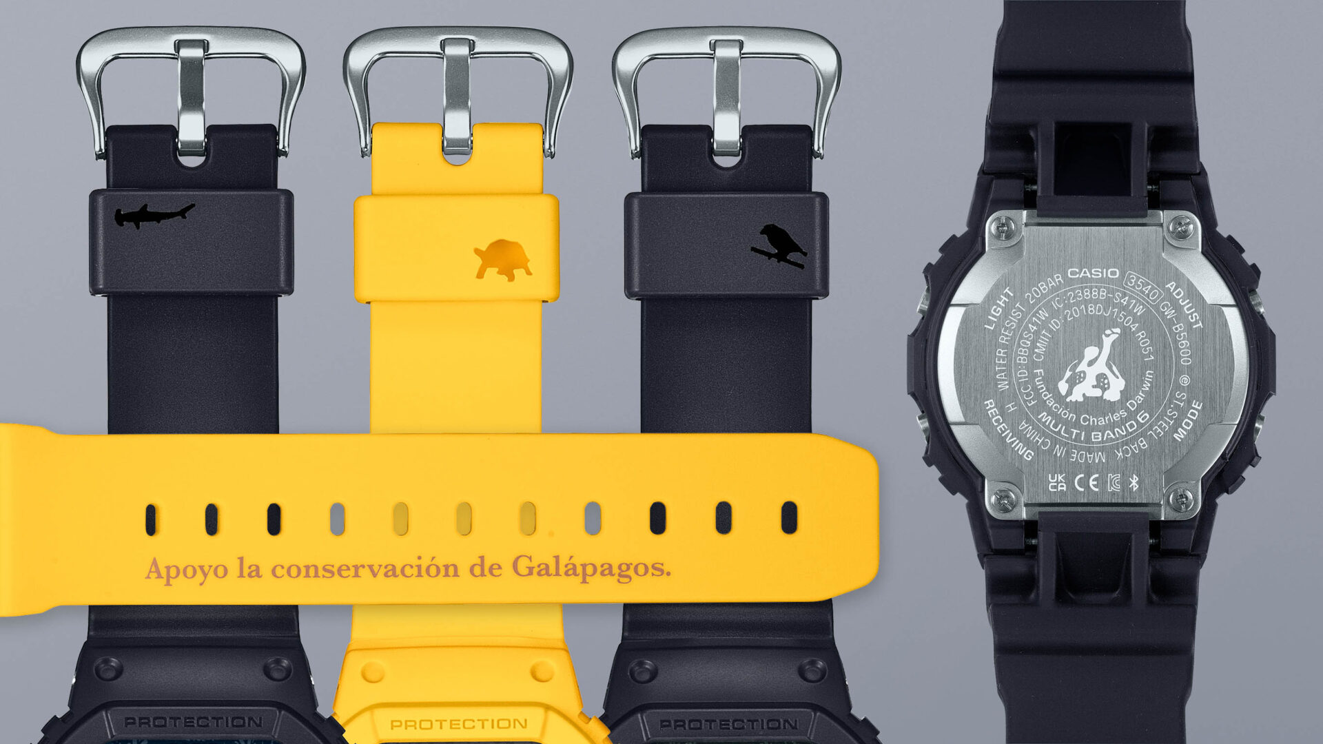 G-SHOCK × チャールズ・ダーウィン財団、コラボレーションモデル発売