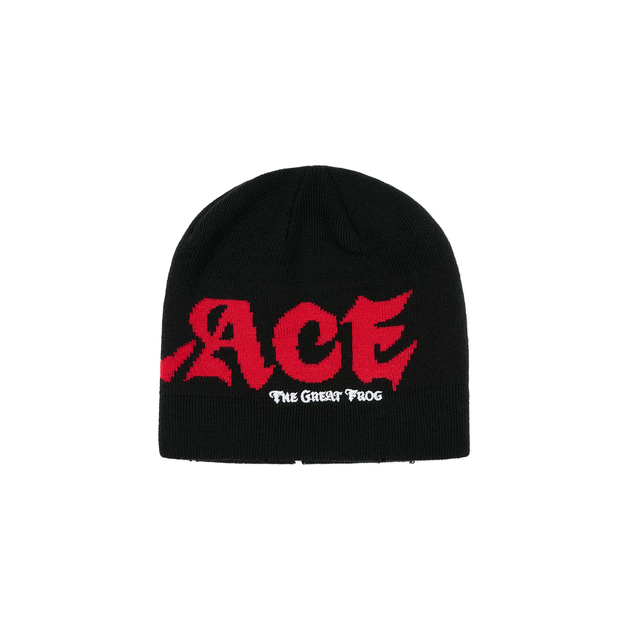 PALACE TGF Beanie 