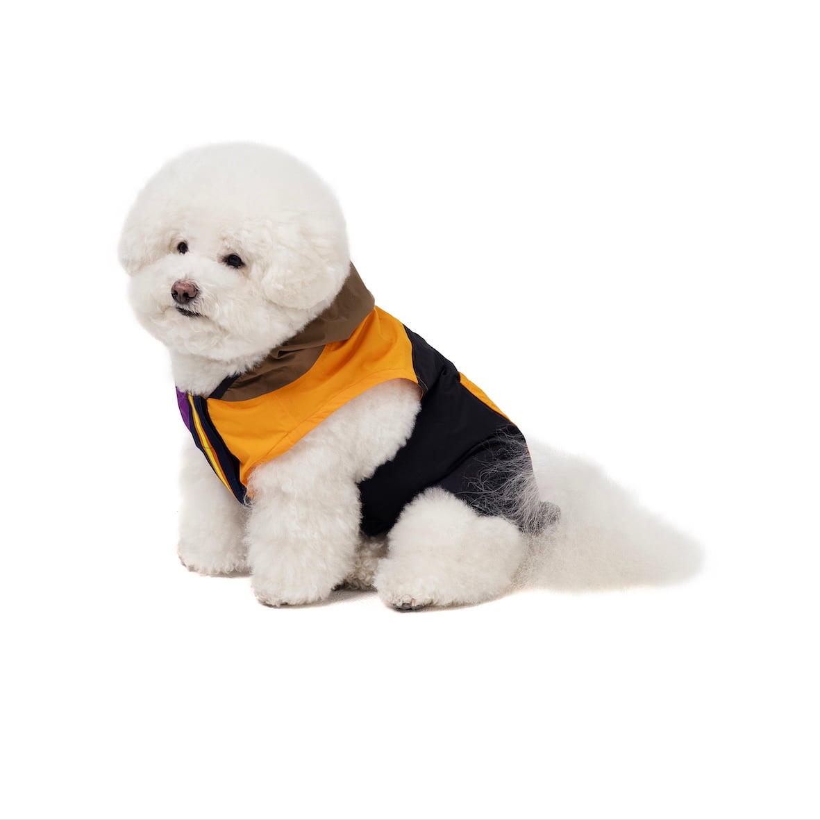 PALACE K-WAY LE VRAI 3.0 HORATIO DOG JACKET MULTI : PURPLE 