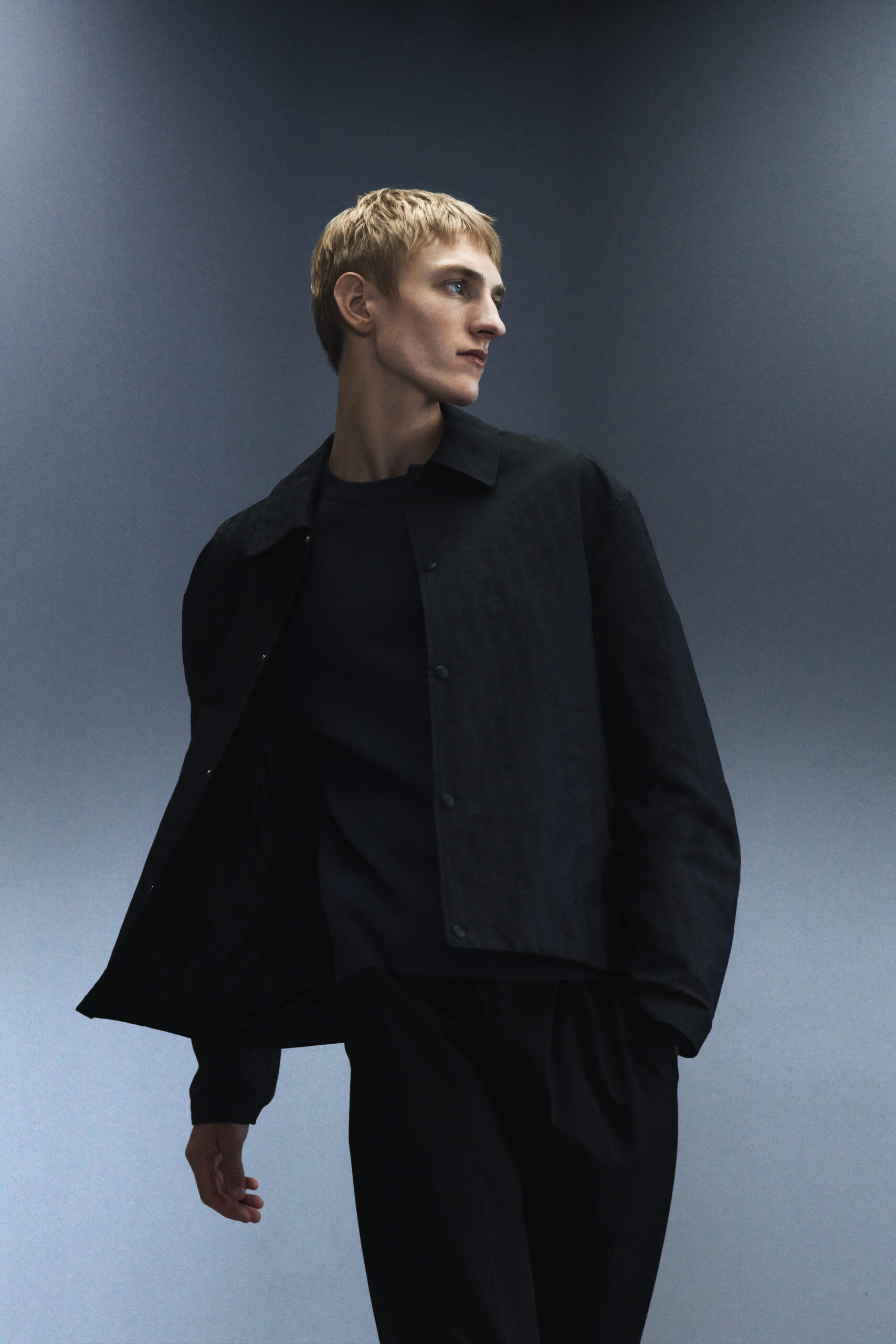 DIOR バック イン タウン カプセルコレクション