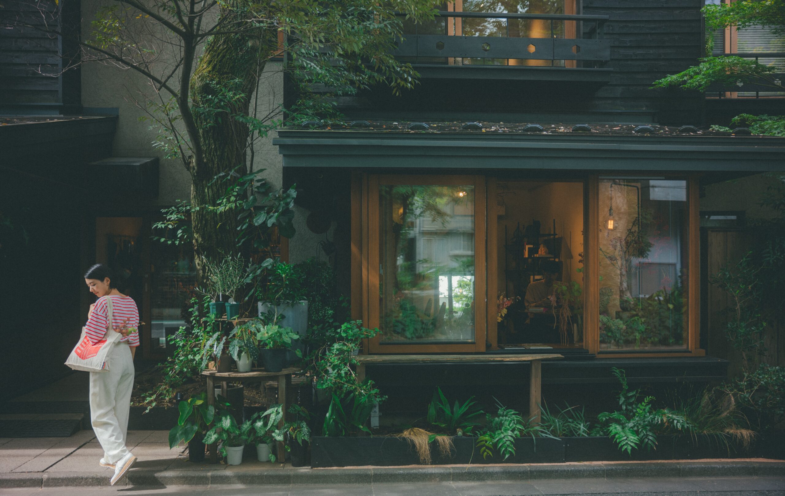 緑に包まれた花屋の定休日に開く読書室「沐読」がオープン