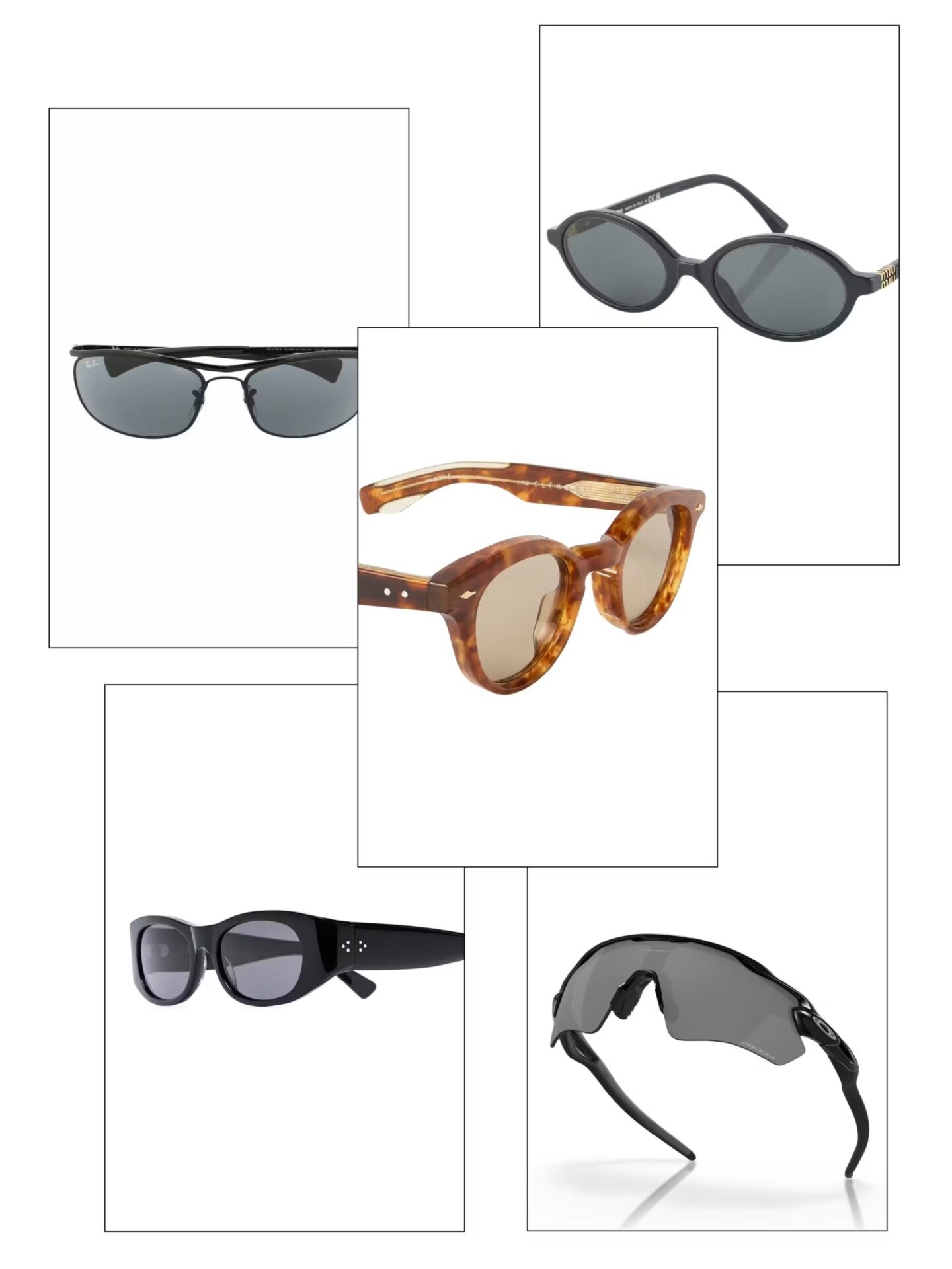 Great Sunnies